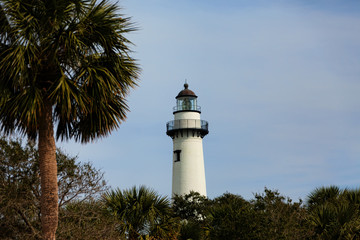 Palm Tree and Lighthouse