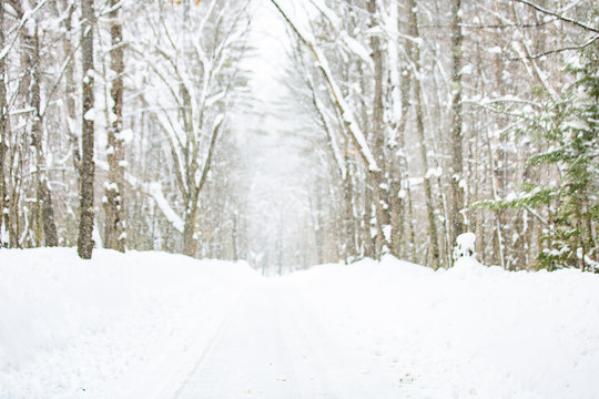Snowy Roads - Vermont