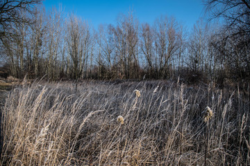 Zimowy spacer . Wrocław Pracze