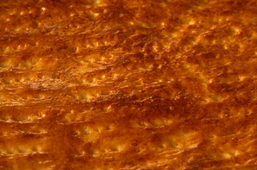 Tasty surface: golden brown colors of an apple cake