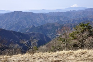 鷹ノ巣山から富士山と三頭山