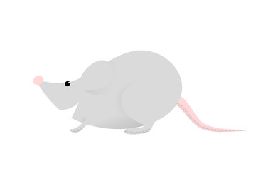 Cute funny rat