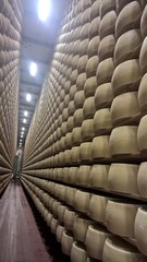 Cheese Pamigiano Reggiano in seasoning