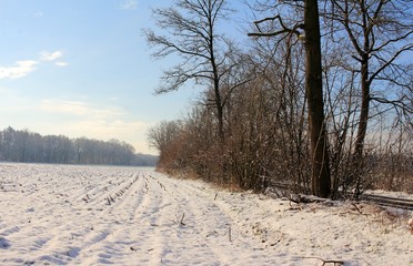 Wintertraum, Landschaft im Traum