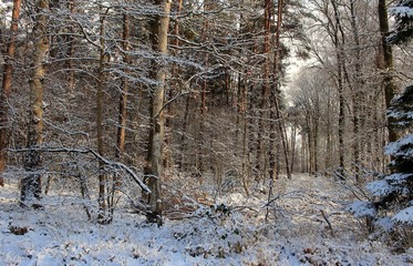 Wintertraum, Landschaft im Traum