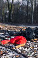 Trash on the ground outside a trashcan in a park in Helsingborg, Sweden the week after new years. 