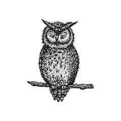 Dotwork Sleeping Owl