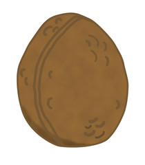 Walnut