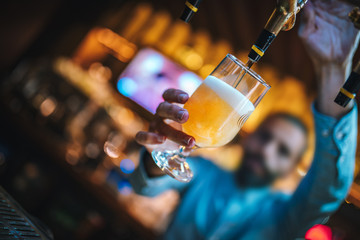 Barman, brewer or bartender filling glass with beer in the bar. Barman is pouring lager beer to...