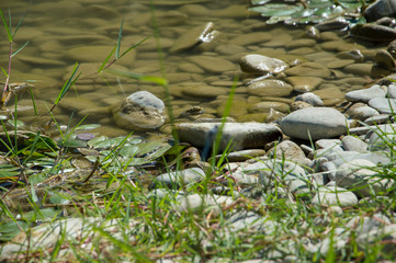 Naklejka premium Small stones river close up during a sunny day