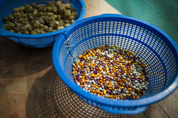 Dried beans in colander