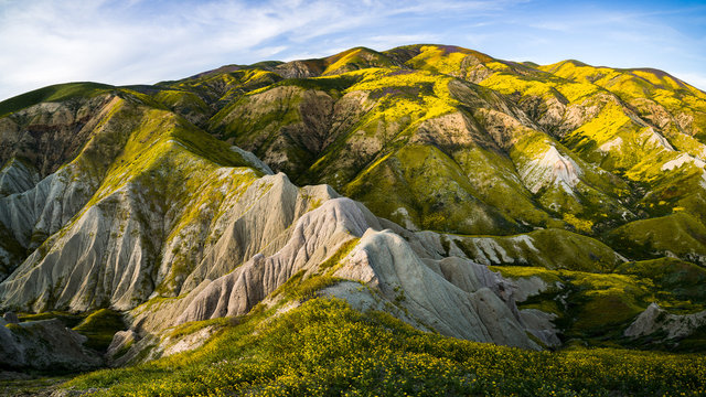 Mountains in super bloom, California