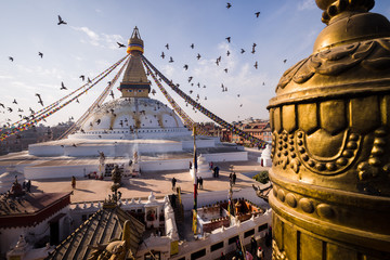 Birds flock around The Boudhanath Buddha Stupa temple in Kathmandu