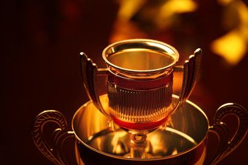 sport gold cup studio 