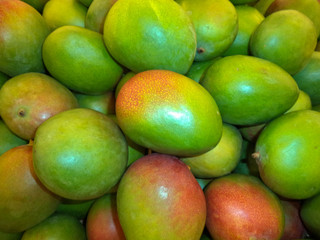 a bunch of ripe exotic mango fruits