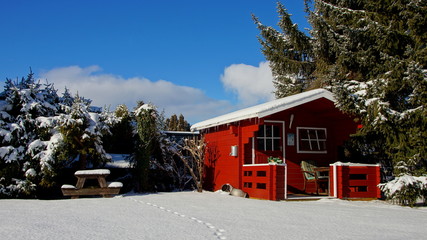 rotes Gartenhaus im Schnee zwischen Fichten unter blauem Himmel