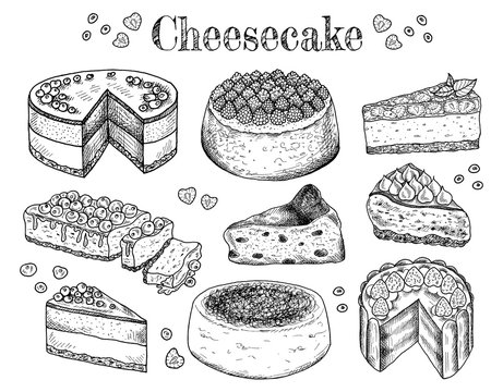 Vector illustration of hand drawn sketch cheesecakes. Food, tasty dessert, slice, piece, cake with cheese. Cheesecake with berries and fruits. Doodle sweet bakery products. Vintage background. Menu.