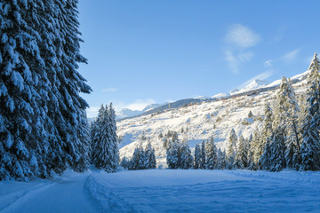 Fototapeta na wymiar Winter wonderland in Switzerland