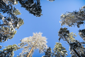 Winter wonderland in Switzerland