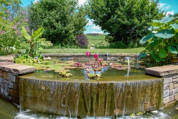 Fototapeta na wymiar Japanese Water Garden in the Park