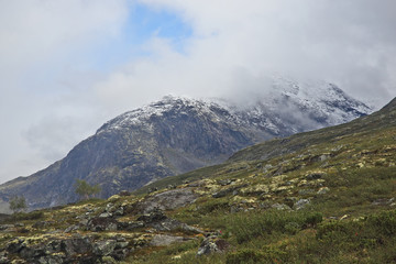 Fototapeta na wymiar Mountainous terrain in Norway. Jotunheimen National Park