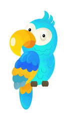 Obraz premium cartoon scene with happy parrot on white background - illustration for children