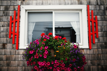 Fototapeta na wymiar window flowers