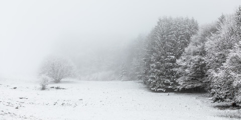 snow covered landscape