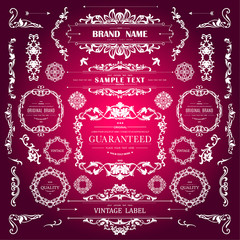  Vintage Decorations Elements. Flourishes Calligraphic Ornaments and Frames with place for your text. Decorative swirls or scrolls, vintage frames , flourishes, labels and dividers. Retro Style 
