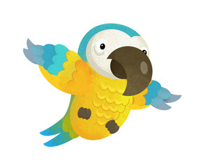 cartoon scene with happy parrot on white background - illustration for children