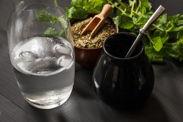 terere, frozen yerba mate with mint