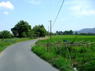 Fototapeta na wymiar 日本の田園風景と農道