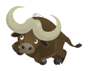 cartoon scene with happy buffalo on white background - illustration for children