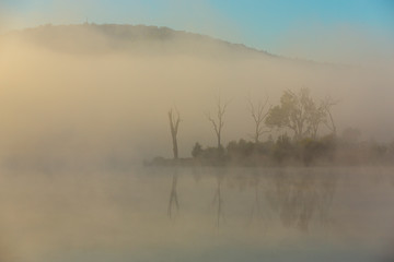 Morning fog at Bundamba Dalys Lagoon, Queensland