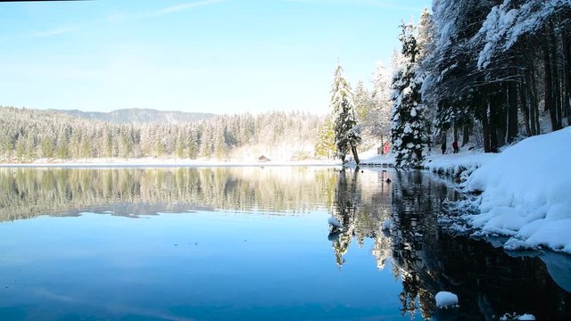 Winter mirror-clear lake among the forest and mountain Alps
