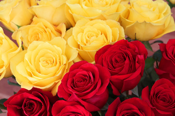 Floral background with red and yellow roses. Bunch of bright red and yellow roses close up.