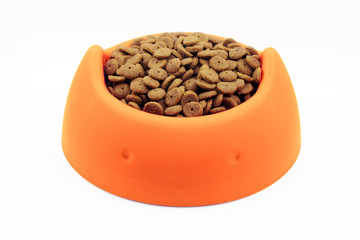 Dry cat food in orange bowl isolated on white