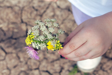Little girl holding a flower, with ladybug perched on it.