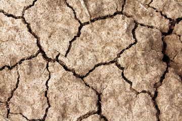 Dry land. Dry cracked earth background, clay desert texture
