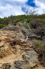 Weathered Cliff vert