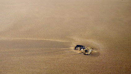 Piedra en la arena de la playa
