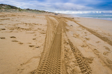 Australia sand beach landscape with offroad cars