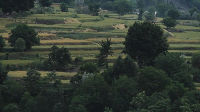 Wide shot of farm crops in the valley below mountains in Northern Pakistan