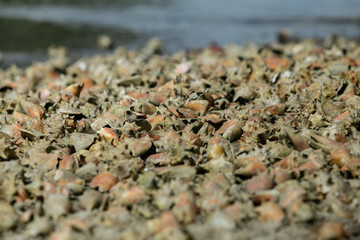 Pescador e sua rede em Salinas de margarida
