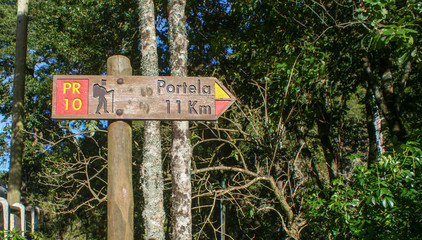 Levada do Furado - Portela, Madeira Portugal