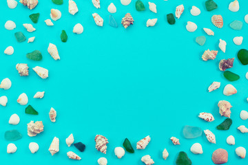 Different sea shells on blue background Top view flat lay