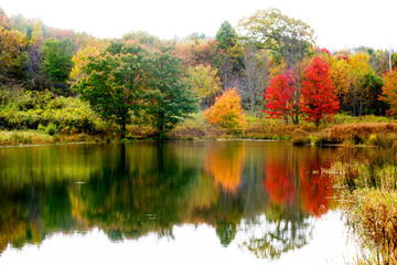 Obraz premium Water reflections of fall colors in the Smokies.