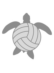 ball handball verein sport club spielen meeresschildkröte silhouette umriss schatten wasserschildkröte schildkröte wasser turtle schwimmen meer flossen clipart design logo