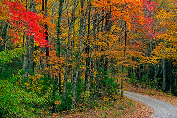 Old mountain road in the Smokies in fall season.