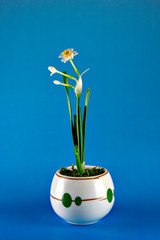 Japanese resin clay flower art